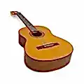 Gitarlar
